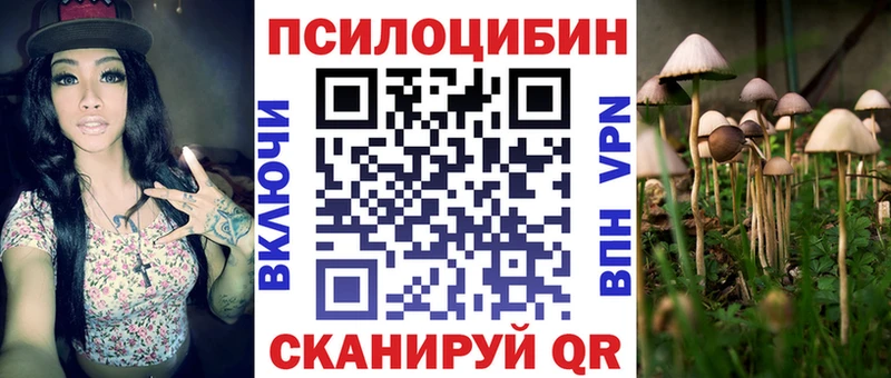 купить наркоту нарко площадка клад ОМГ ОМГ tor Псилоцибиновые грибы мухоморы Льгов
